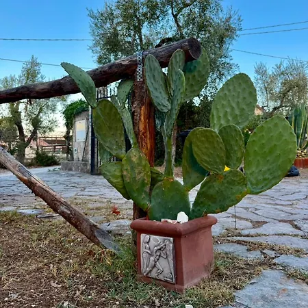 Domus Vestae Tatil Evi